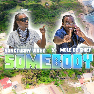 Somebody (Explicit)