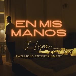 En mis manos