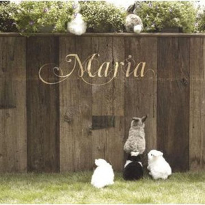 さよなら 大好きな人 (Inst.)