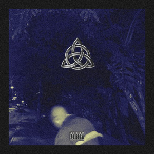 Allegation$ (Explicit)