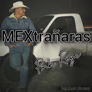 MEXtrañaras (Cumbia Villera)