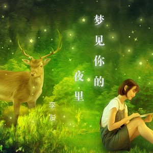 梦见你的夜里