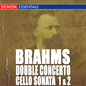 Triple Concerto for Violin, Violoncello and Orchestera in A Minor, Op. 102 - III. Vivace non troppo