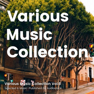 Various Music Collection Vol.6 -Selected & Music-Published by Audiostock-