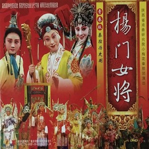 【秦腔】杨门女将 1/5