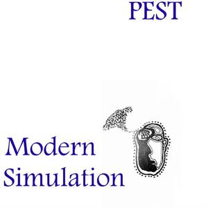 Modern Simulation 7inch