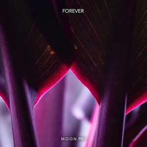 Forever