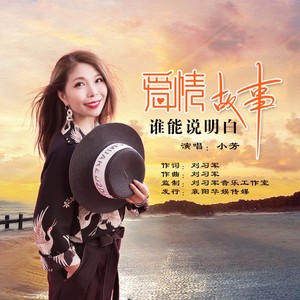 爱情故事谁能说明白封面