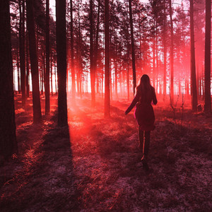 Chow boò - Vivid Red