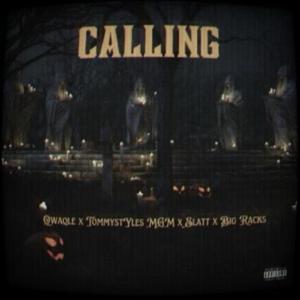 Calling (feat. Tommystyles) (Explicit)