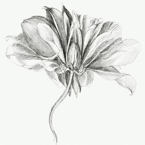 MARKET STANDARD (Explicit)