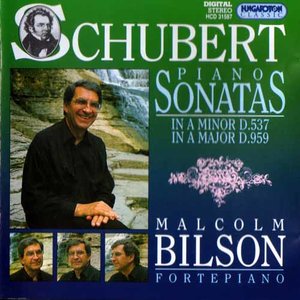 C minor D. 958-I. Allegro