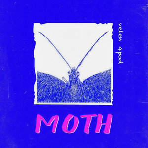 飞蛾Moth