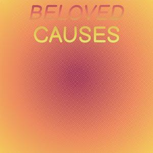 Beloved Causes