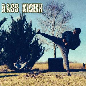 Bass Kicker
