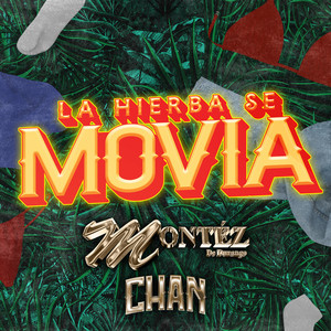 La Hierba Se Movia (Chan Edm Remix)