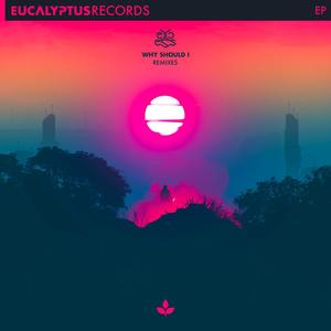 Why Should I (Wave & Particle Remix)