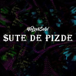 $ute De Pizde (Explicit)