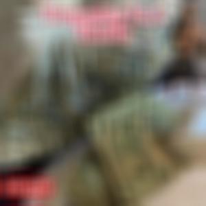 So 40 Gang (Explicit)