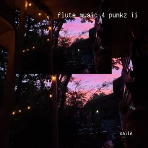 flute music 4 punkz ii