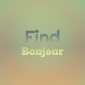 Find Bonjour