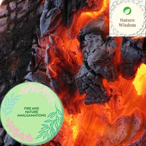 Fire and Nature Amalgamations