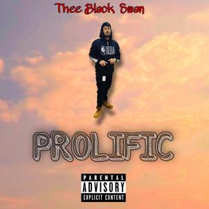 Prolific (Explicit)