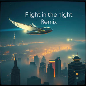Flight in the night (feat. Guitar soul) (Remix)