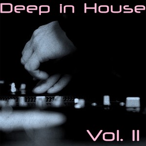 Deep in House, Vol. 11