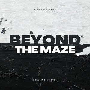 BEYOND THE MAZE