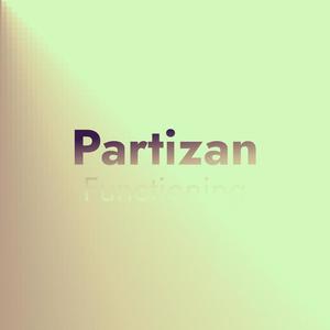 Partizan Functioning