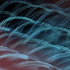 Amarte Duele (feat. Apolar Ens)