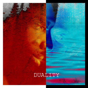 Duality