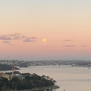 NOTHING TO PROVE (Freestyle) (feat. King EF & GooseTheSlayer)