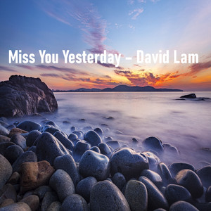 Miss You Yesterday