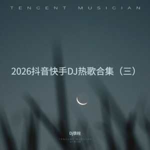 暖风吹那春来到（火苗慢摇）封面