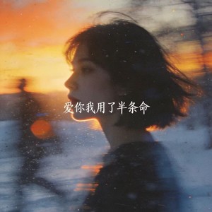 爱你我用了半条命 (女生版)