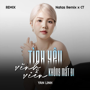 Tình Yêu Vĩnh Viễn Không Mất Đi (Remix)