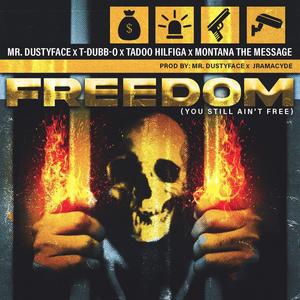 Freedom (You Still Ain't Free) (feat. T-Dubb-O, Tadoo Hilfiga & Montana The Message|Radio Edit)