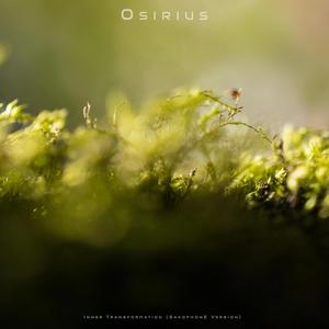 Inner Transformation (Saxophone Version)