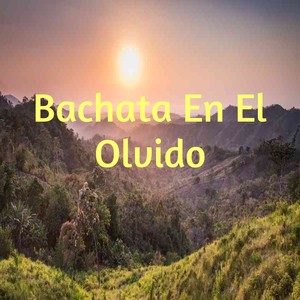 Bachata En El Olvido