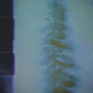 Dallin Hatch - NEVER MEANT TO HURT YOU