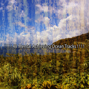 短暫的海岸漫步