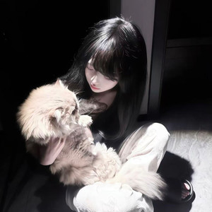 天龙八部之宿敌 (温柔女声版)