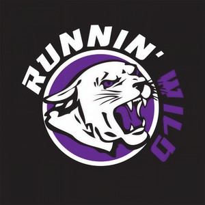 Pulls Me Down (Original Mix)