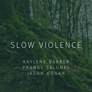 Slow Violence