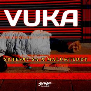 Vuka (feat. MalumTeddy)