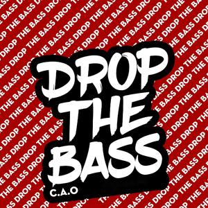 Drop The Bass