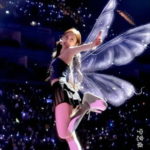 阿白 - 破茧之光 (to NINGNING)