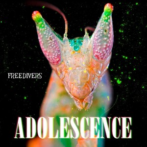 Adolescence